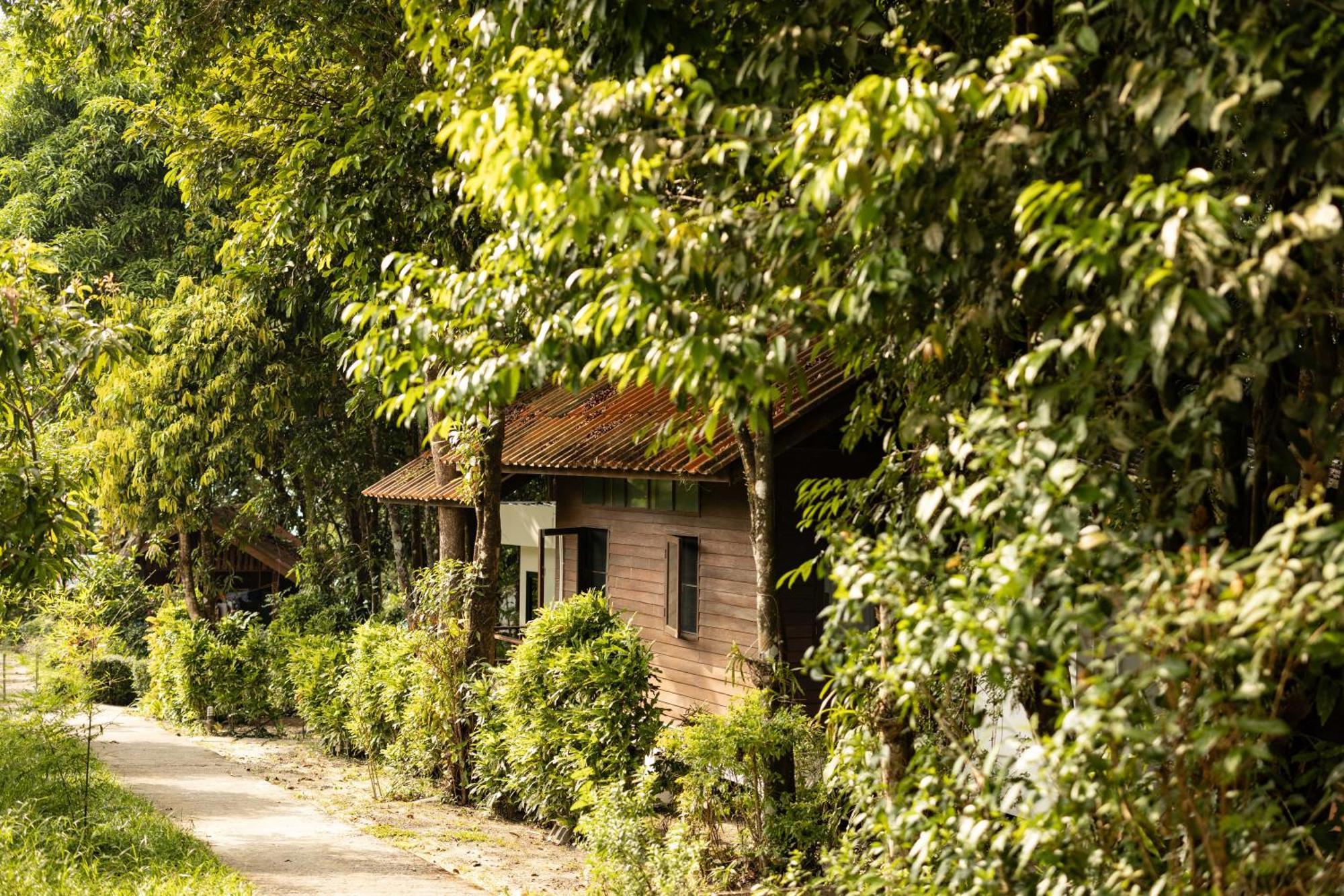 Barefoot Project Formerly Baan Klong Kleng Hotel Koh Phayam Eksteriør billede